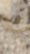 Wallpaper GP BAHRAIN 2014 samsung_galaxy, Sfondi Desktop F1