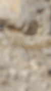 Wallpaper GP BAHRAIN 2014 samsung_galaxy, Sfondi Desktop F1