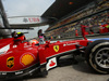Wallpaper GP CINA 2014 1920x1200, Sfondi Desktop F1