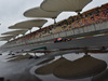Wallpaper GP CINA 2014 1920x1200, Sfondi Desktop F1