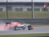Wallpaper GP CINA 2014 1920x1200, Sfondi Desktop F1