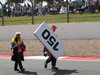Wallpaper GP GRAN BRETAGNA 2014 1920x1080, Sfondi Desktop F1