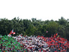 Wallpaper GP ITALIA 2014 1920x1080, Sfondi Desktop F1
