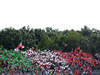 Wallpaper GP ITALIA 2014 1920x1200, Sfondi Desktop F1