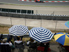 Wallpaper GP SPAGNA 2014 1920x1200, Sfondi Desktop F1