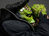 GP USA 1366x768