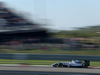Wallpaper GP USA 2014 1680x1050, Sfondi Desktop F1