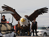 Wallpaper GP USA 2014 1920x1440, Sfondi Desktop F1