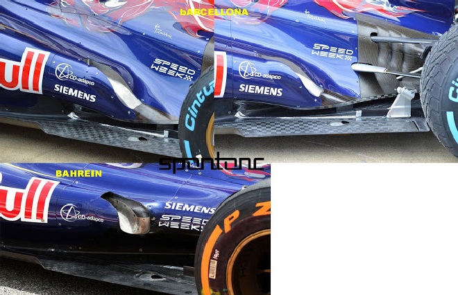 toro-rosso-2