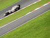 GP BRASILE, Venerdi', 31 October 2008 Brazilian Grand Prix Interlagos, Sao Paulo, Brazil. BMW Sauber F1 Team driver Robert Kubica (POL) This image is copyright free for editorial use © BMW AG