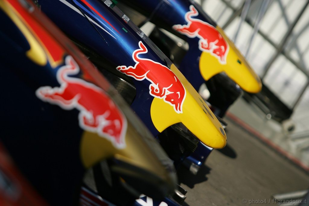GP Brasile, Gara, Red Bull