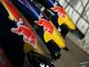 GP Brasile, Gara, Red Bull