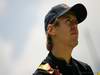 GP Brasile, Giovedi', Sebastian Vettel (GER), Red Bull Racing, RB6 