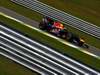 GP Brasile, Prove Libere 1, Venerdi', Sebastian Vettel (GER), Red Bull Racing, RB6 