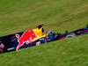 GP Brasile, Prove Libere 1, Venerdi', Sebastian Vettel (GER), Red Bull Racing, RB6 