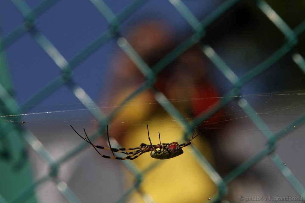 GP Giappone, Domenica, spider