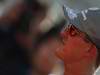 GP Giappone, Giovedi', Michael Schumacher (GER), Mercedes GP  F1 Team, MGP W01 