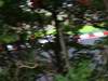 GP Giappone, Prove Libere 1, Venerdi', Jenson Button (GBR), McLaren Mercedes, MP4-25