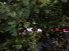 GP Giappone, Prove Libere 1, Venerdi', Sakon Yamamoto (JPN), Hispania Racing F1 Team (HRT), F110  