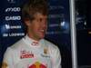 GP Gran Bretagna, Prove Libere 3, Sabato, Sebastian Vettel (GER), Red Bull Racing, RB6 