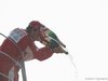 GP Italia, Gara, Fernando Alonso (ESP), Ferrari, F10 vincitore