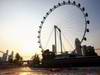 GP Singapore, Prove Libere 1, Venerdi', Lewis Hamilton (GBR), McLaren  Mercedes, MP4-25 