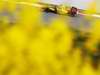 GP Turchia - Qualifiche e Prove Libere 3