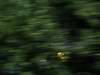GP Ungheria, Saturday, Bruno Senna (BRA), Hispania Racing F1 Team (HRT), F110