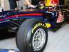 Test Pirelli Abu Dhabi, 
Sebastian Vettel (GER), Red Bull Racing