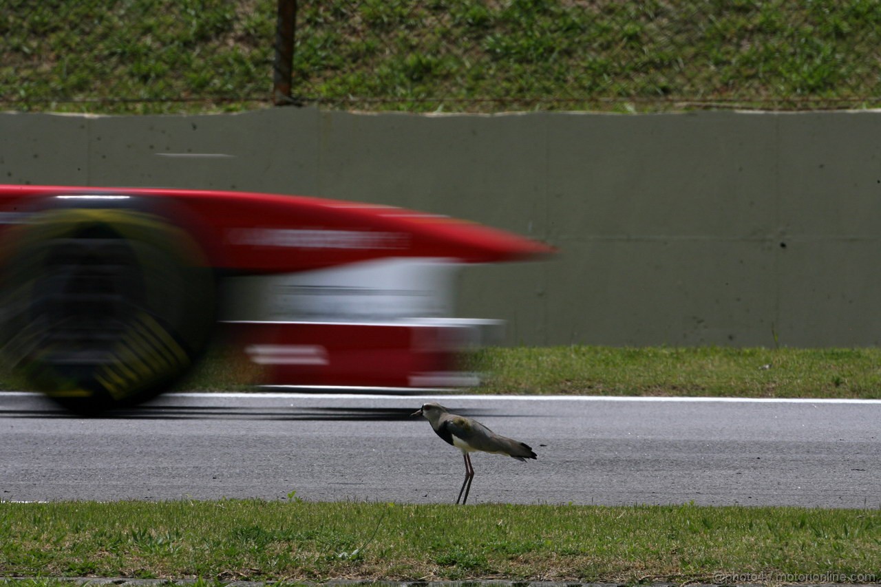 GP BRASILE, 26.11.2011- Prove Libere 3, Sabato, Fernando Alonso (ESP), Ferrari, F-150 Italia 
