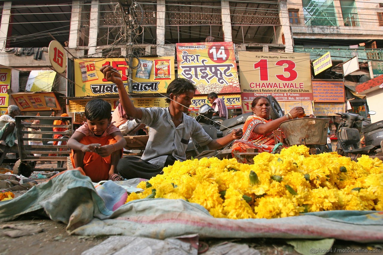 GP INDIA, Colour