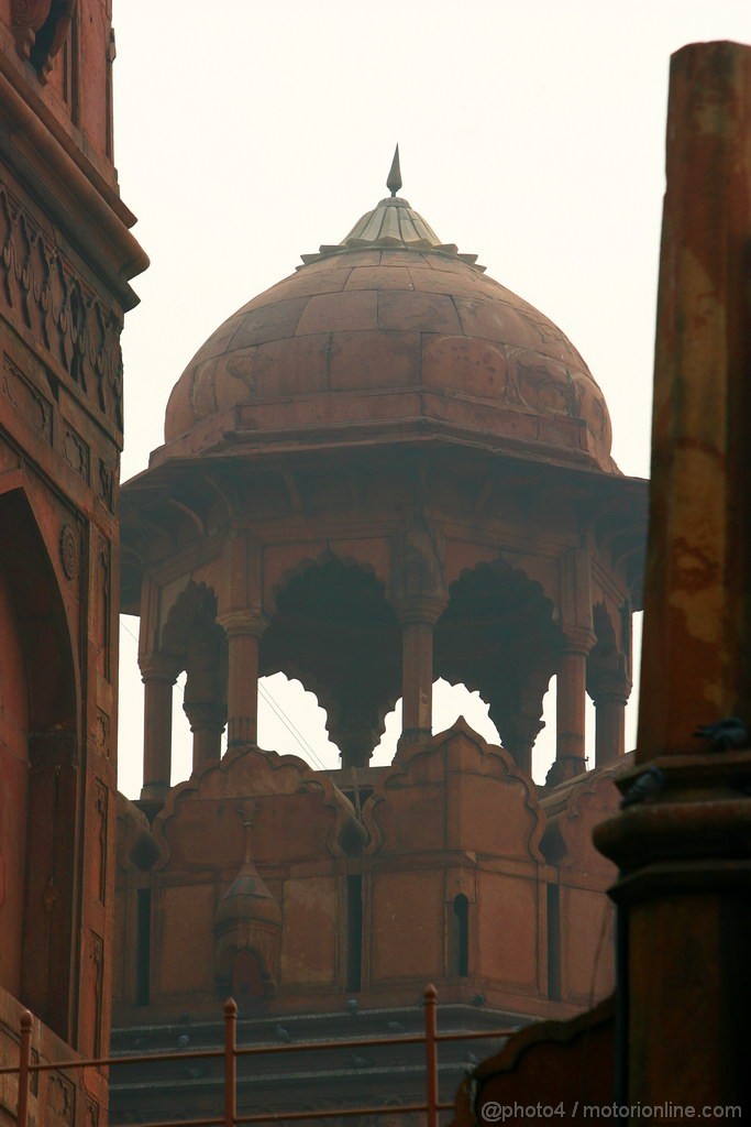 GP INDIA, Colour