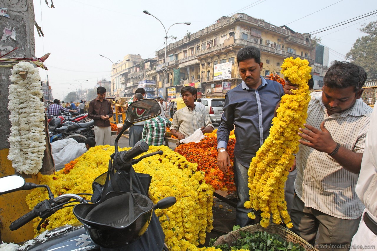 GP INDIA, Colour