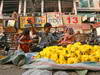 GP INDIA, Colour