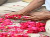 GP INDIA, Colour