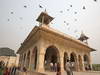 GP INDIA, Colour