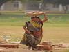 GP INDIA, Colour