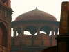 GP INDIA, Colour