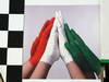 GP INDIA, Colour