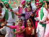 GP INDIA, Colour
