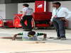 GP INDIA, Colour
