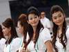 GP MALESIA, 10.04.2011- grid girl, pitbabess 