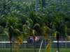 GP MALESIA, 08.04.2011- Prove Libere 2, Venerdi', Sebastian Vettel (GER), Red Bull Racing, RB7