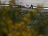 GP TURCHIA, 06.05.2011- Prove Libere 2, Venerdi', Jenson Button (GBR), McLaren  Mercedes, MP4-26 