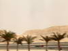 GP BAHRAIN, 20.04.2012-  Free Practice 2, Kimi Raikkonen (FIN) Lotus F1 Team E20 