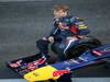 GP BRASILE, 22.11.2012- Red Bull Team Photo, Sebastian Vettel (GER) Red Bull Racing RB8 