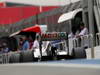 GP BRASILE, 24.11.2012- Free Practice 3, Kamui Kobayashi (JAP) Sauber F1 Team C31 