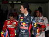 GP BRASILE, 24.11.2012- Qualifiche, terzo Mark Webber (AUS) Red Bull Racing RB8