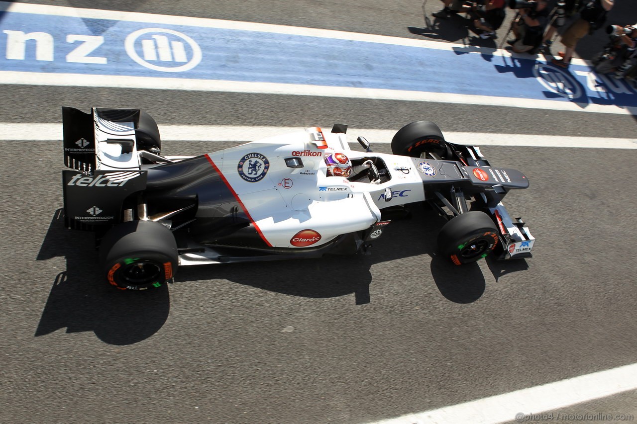 GP BRASILE, 23.11.2012- Prove Libere 1, Kamui Kobayashi (JAP) Sauber F1 Team C31 