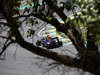 GP BRASILE, 23.11.2012- Free Practice 1, Sebastian Vettel (GER) Red Bull Racing RB8 